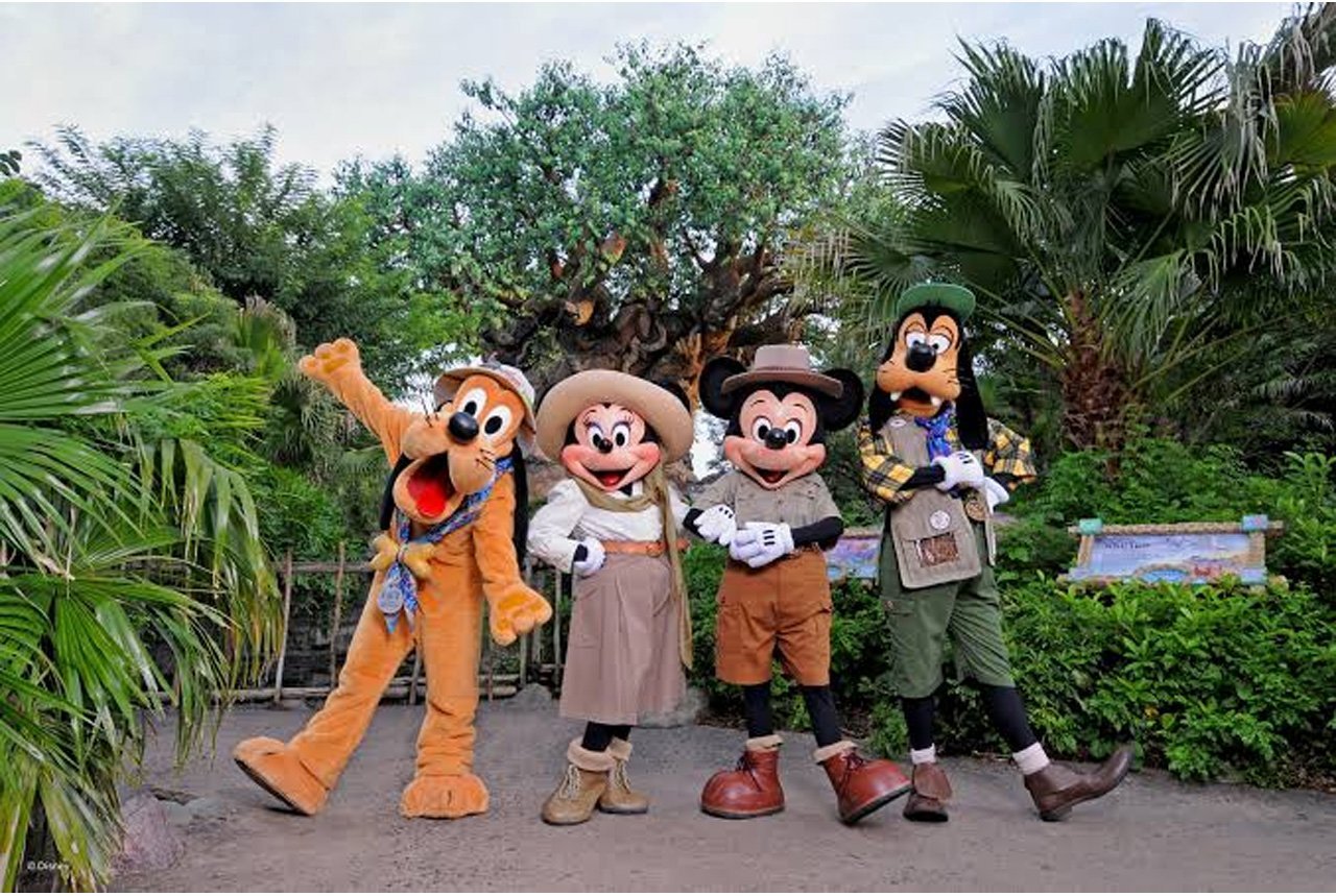Animal-Kingdom